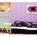 에덴장식 이미지