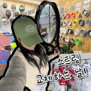 하리나스포츠