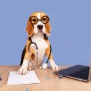 수정동물병원 이미지