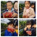 한양대 왕호 태권도장 이미지