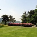 강산회원권거래소