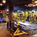 FIT U.S.A(피투사) 이미지