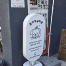 바둑이 애견미용 | 왕십리애견미용 몽아띠 왕십리점 주차 위생목욕 얼굴컷 후기
