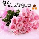 이희성한의원 | 영통 이희성 한의원,철재 수납 진열장 배송+설치 후기