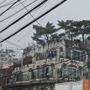 아임캣맘 | 독감 당첨, 집콕의 즐거움, 재정상태, 지지향 당첨, 4일만의 외출