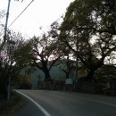 새터축산 이미지