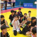 왕성태권도장 이미지