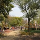 새마을낚시터 이미지