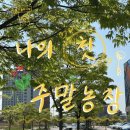중원농장 | 5월11일 일상과 주말농장🥬