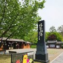 정선 아이와 가볼만한곳 아라리촌 입장료 주차