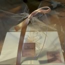 송원초등학교 이미지