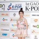 너구리 유격대 이미지