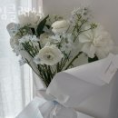 라임클래식