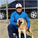 까치말진돗개농장 이미지