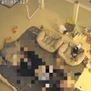 쌀롱 드 빼로 이미지