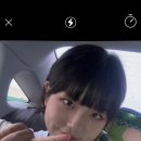 코끼리 게임장 이미지