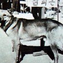 옛날옛적에 이미지