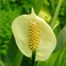 우리들세상 이미지