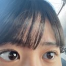 아이란속눈썹