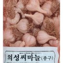 가람파트너스