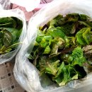 정순농산물