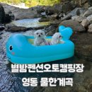 별밤펜션 캠핑장 | [영동 물한계곡] 애견동반 별밤펜션오토캠핑장, 수심2m 대전근교 평상대여