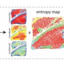 스웨덴세탁 이미지