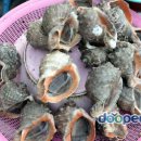 인천의 갯벌 이야기 이미지