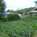 복돼지부동산공인중개사사무소 이미지