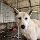 본오모터스 이미지