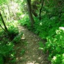 안천체련공원 화장실 이미지