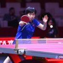 개방탁구 이미지