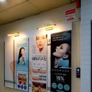 에스테틱새로움 이미지