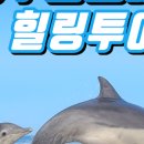 제주돌고래힐링투어