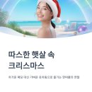 12월 원예: 미리 만나는 크리스마스 | 12월 해외여행지 추천 BEST7 따뜻한 겨울 보내기