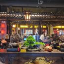 마약 볶음밥 이미지