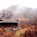 삼팔선의봄 이미지