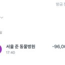 서울준동물병원 이미지