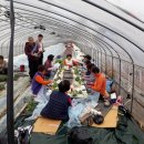 성주읍행정복지센터 이미지