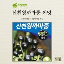 까마종 이미지