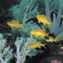 그물과물고기 이미지