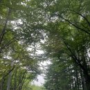 S.S골프클럽 | [일본]M&#39;s골프클럽-훗카이도 골프장