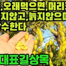 회화나무―무병장수의 약초, 고혈압,고지혈증,동맥경화,중풍,우울증,안면홍조,골다공증,갱년기증상,유방암등각종암,시력저하,비만,피부노화,탈모 이미지