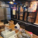 사바나 코쉬카 이미지