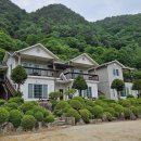 쉼농원 | [돌뫼농원] 평창 가족여행 커플여행 펜션 숙소 추천 후기 바베큐 아침식사 근처관광지 교통팁 가격