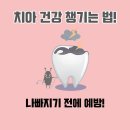 휴플러스치과의원 이미지