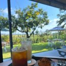 네오캠 노동조합 | 카페 서리실 고양이가 귀엽고 분위기 좋은 뷰맛집 태안 카페