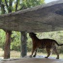 오월드 | 대전 오월드 야간개장 나이트유니버스 후기