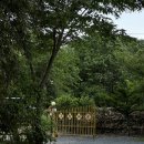 구천계곡캠핑장