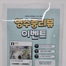 최애멍 | 우리 댕댕이 최애 천안애견카페, 보스멍 후기